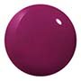 new year, new hue